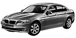 BMW F10 P1D60 Fault Code